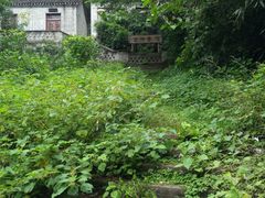 android_upload_pic-波尔登森林公园