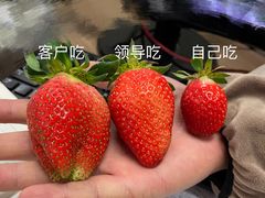 -翠湖六号全日制西餐厅(翠湖宾馆店)