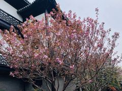 -上海皇廷花园酒店·御宴中餐厅