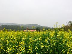 iphone_upload_pic-盈香心动乐园
