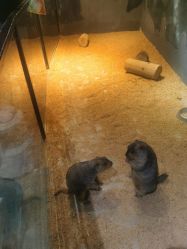 -酷嗒动物文化乐园(cutezoo西溪乐天城店)