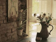 -Jo's Garden