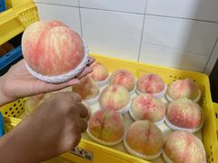 -老袁家蜜桃农场·阳山水蜜桃