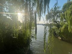 -华夏良子·足道SPA艾灸(山东大厦店)