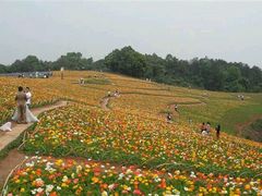 android_upload_pic-保利石象湖景区