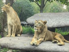 -北京野生动物园