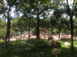 -广州市儿童公园