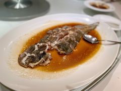 清蒸东星斑-利苑酒家(华熙国际店)