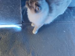 -零纪元VR体验馆·桌游(黄浦店)