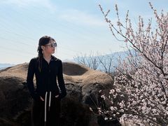 -白水寺森林公园