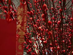 -杭州君悦酒店·湖滨28中餐厅
