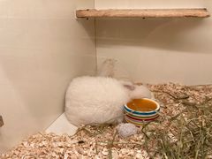 -龙猫仔乐园(惠福东路店)