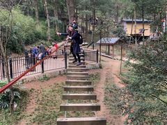 -梦幻奥陶纪景区