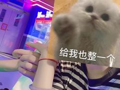 -星舰梦航(广百广场荔胜店)