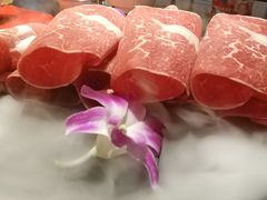 -食鲜捞火锅(湖西路店)
