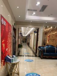 -碧莲盛·不剃发植发