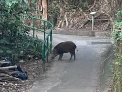 -南丫岛