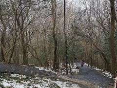 -紫金山山顶公园