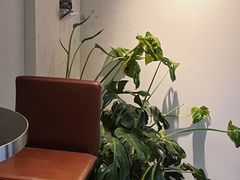 -两棵枇杷树