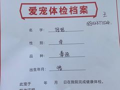 -爱派特动物医院·全科诊疗中心