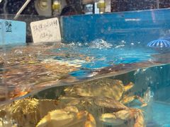 -魏铭鱼头捞饭(晋阳路店)