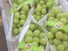 -江杨农产品批发市场