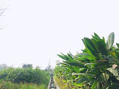 -白鹭湾湿地公园