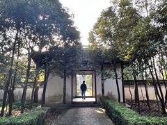 -上海佘山国家森林公园天马山园