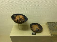 -中国闽台缘博物馆