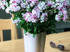 -循礼门鲜花花市(武汉循礼门店)