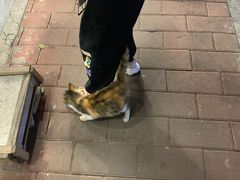 -福米小馆