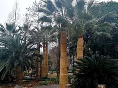 -苏州河梦清园环保主题公园