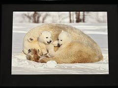 -罗红摄影艺术馆