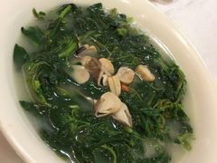 上汤辣椒叶-朱仔记食府(江南大道店)