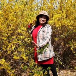 -华卫思理轻奢造型