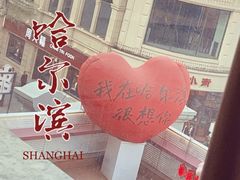 -徐记小怪兽肉蟹煲(中央大街店)