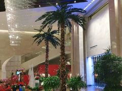 -常州环球恐龙城维景国际大酒店