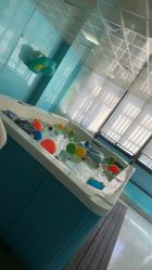 -贝贝熊(无锡长江绿岛店)