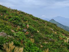 -灵山