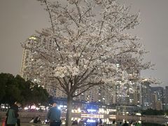 -西北湖绿化广场