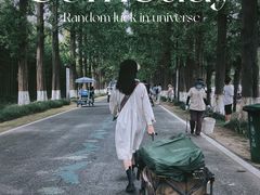 -黄海国家森林公园