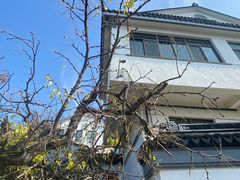-东山风景区(洞庭东山)