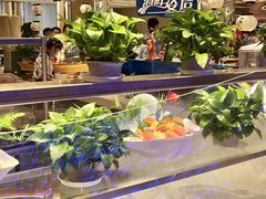 -水之梦(黄浦店)