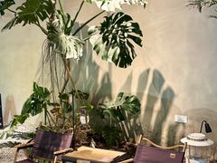 -J Create城市露营咖啡·简餐·宠物(上海动物园店)