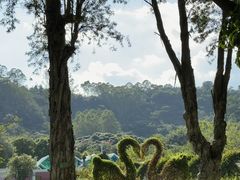 -东南花都花博园