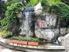 -九龙公园