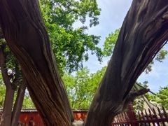 -晋祠公园