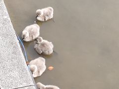 -杭州师范大学(下沙校区)