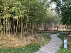 -青枫公园