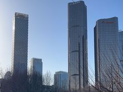 -大望京公园